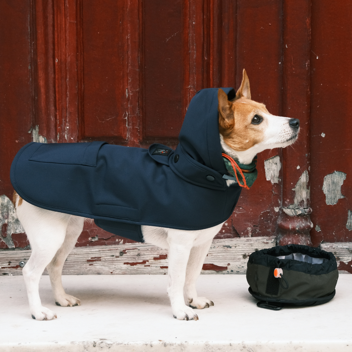 Pluvio Dog Raincoat