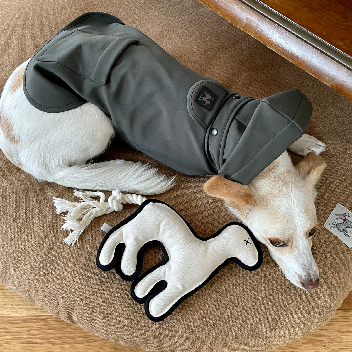 Pluvio Dog Raincoat