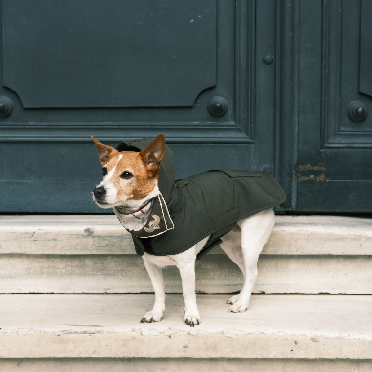 Pluvio Dog Raincoat