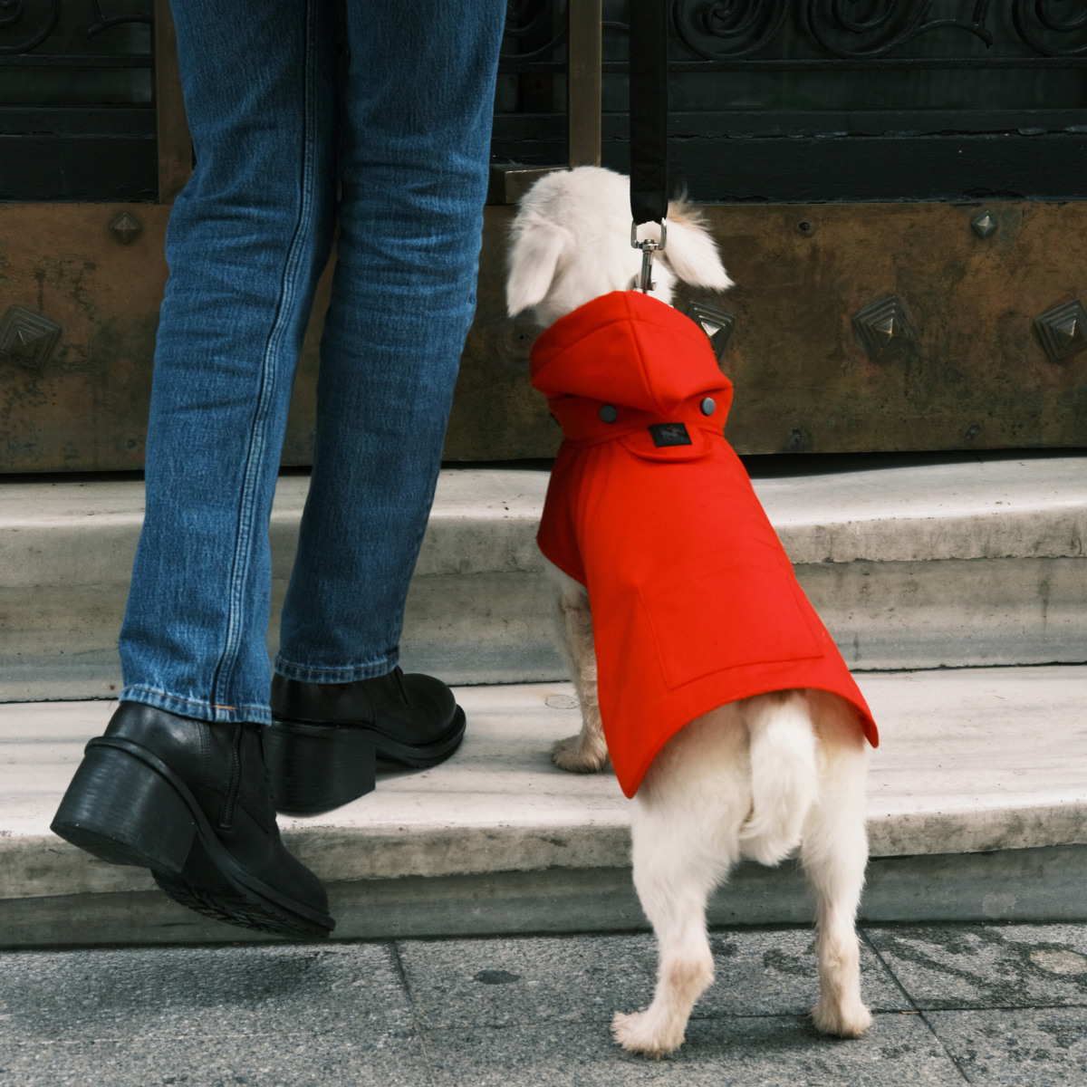 Pluvio Köpek Yağmurluğu