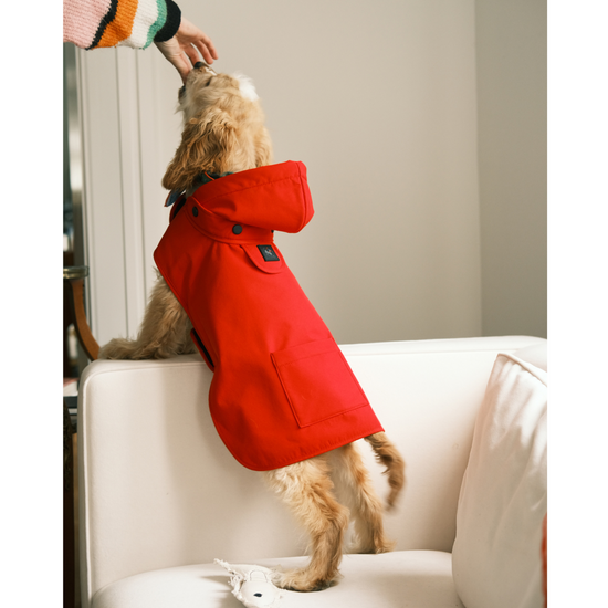 Pluvio Dog Raincoat