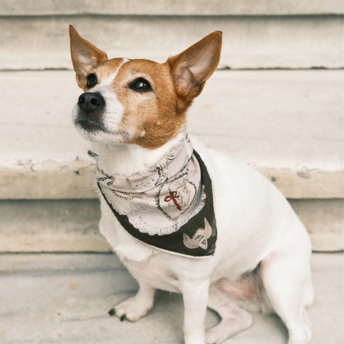 Ruff Pet + Human Bandana