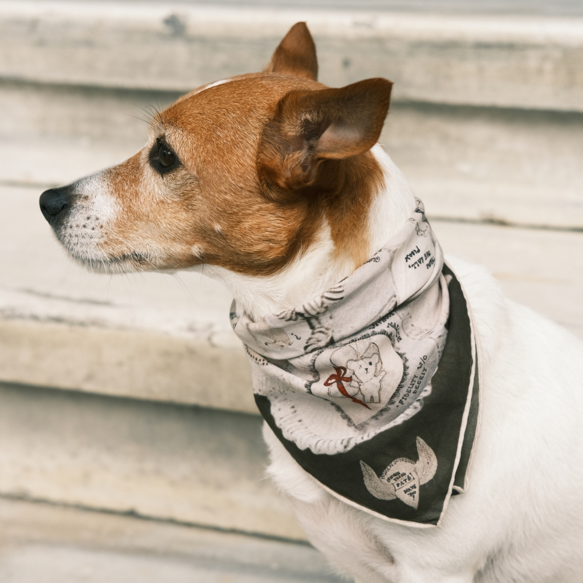 Ruff Pet + Human Bandana