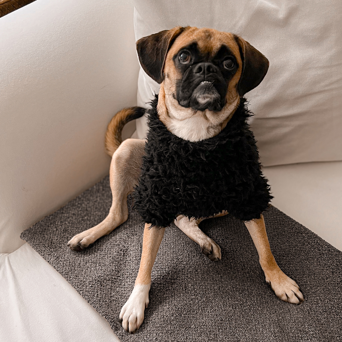 Blankie Pet Blanket + Mat