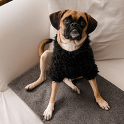 Blankie Pet Blanket + Mat