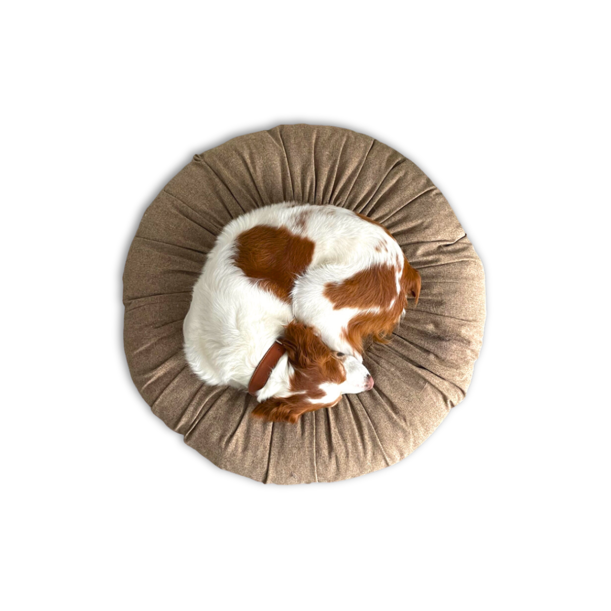 Toque Dog + Cat Bed – St. Pia TR