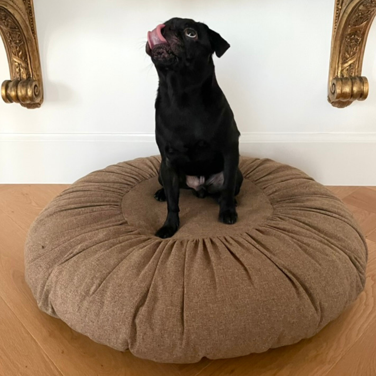 Toque Dog + Cat Bed