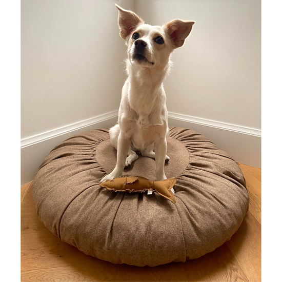 Toque Dog + Cat Bed