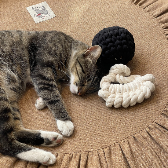 Toque Dog + Cat Bed