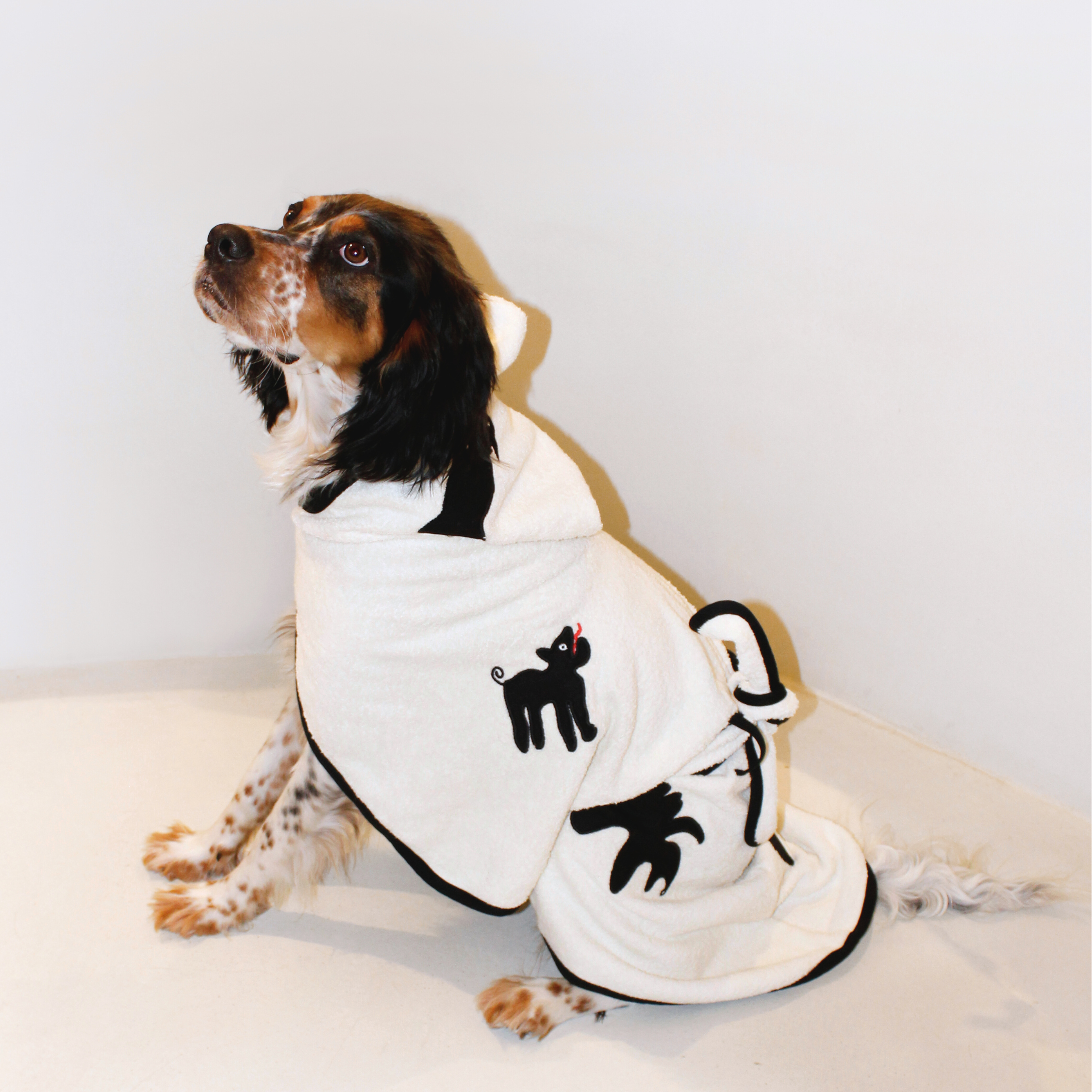 Umbra Köpek Bornozu