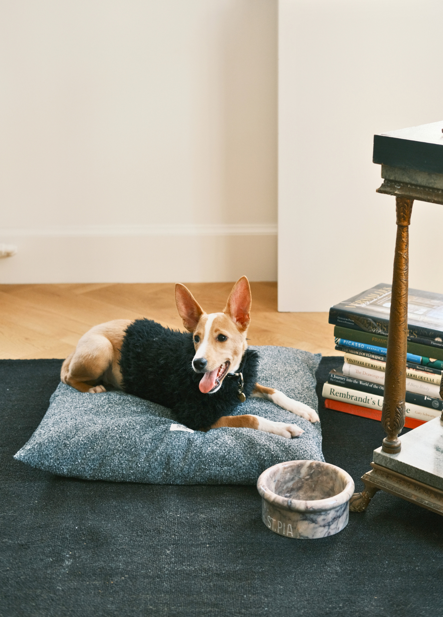 Dog bed floor outlet cushion