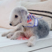 Blue Lovefold Pet + Human Bandana