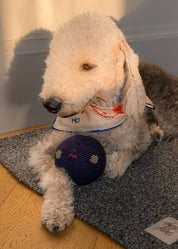 Blue Lovefold Pet + Human Bandana