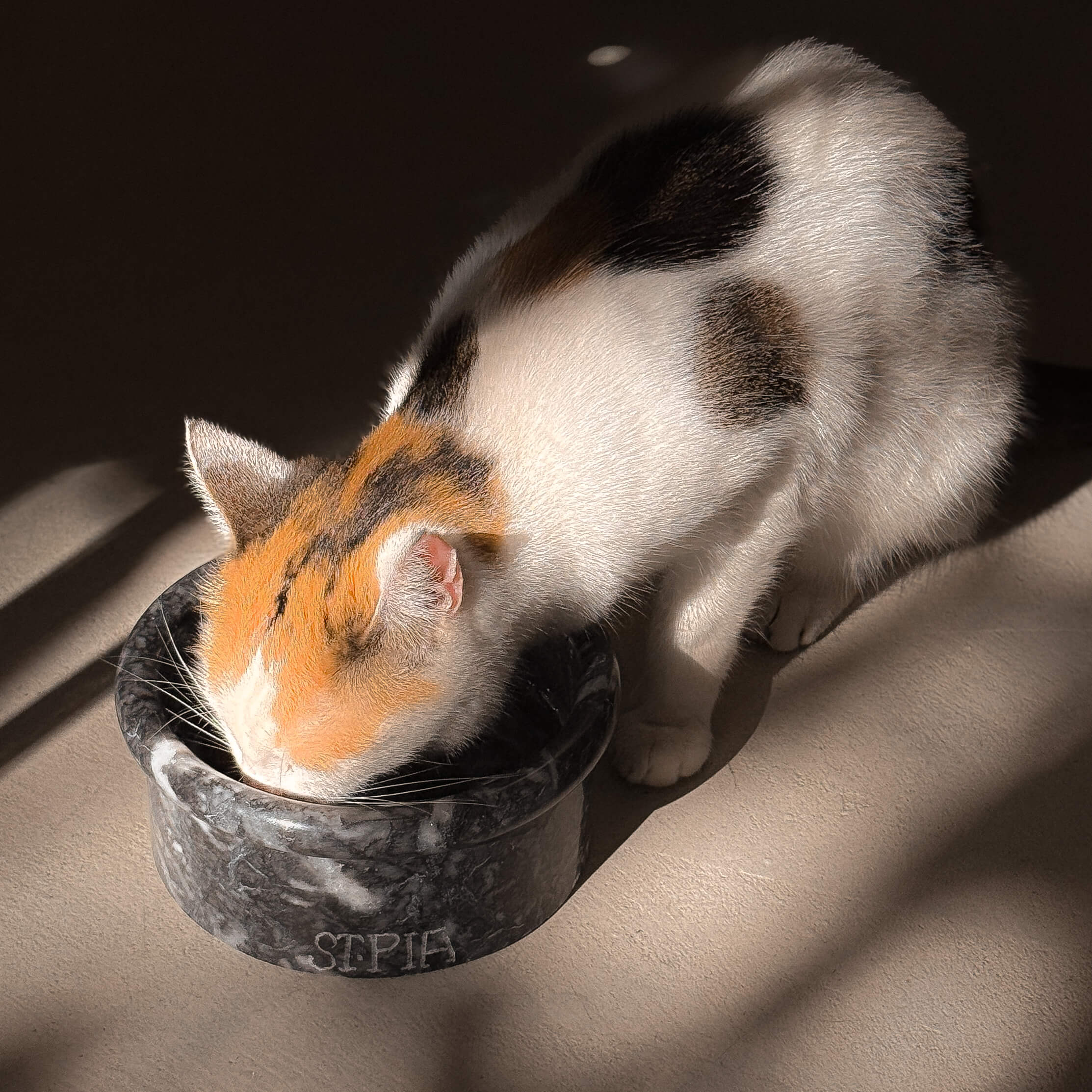 Marbowl Mama + Su Kabı